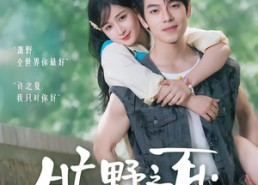 【旷野之夏：许我夏至】90集热门短剧在线赏看