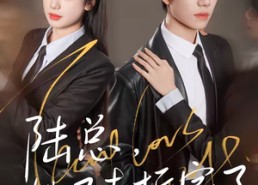 【陆总，她又去拆家了】80集短剧免费全集随心看