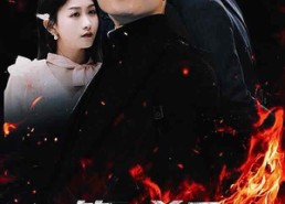 【第一杀手龙婿】100集短剧免费在线全集观览