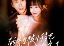 【顾先生被小结巴偷亲了】53集免费短剧全集观赏