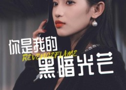 【你是我的黑暗光芒】81集免费短剧资源在线看
