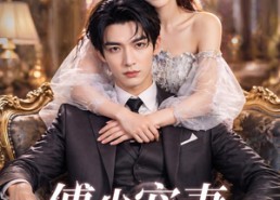 【傅少宠妻甜蜜蜜】81集短剧全集免费在线赏鉴