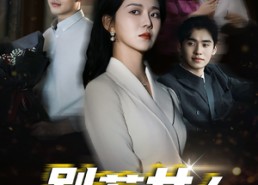 【别惹女人】31集短剧免费全集观览