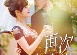 【再次沦陷】80集短剧在线免费全集观