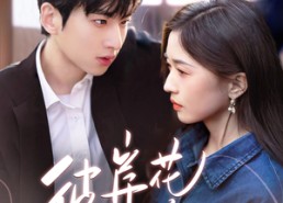 【彼岸花落时】70集短剧免费完整收看