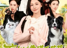 【盲女她靠摸毛茸茸称霸豪门了】84集免费短剧全集畅快观看