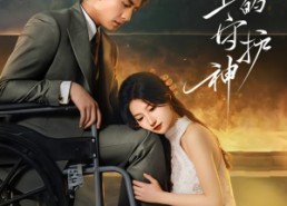 【轮椅上的守护神】25集短剧免费在线畅快观看