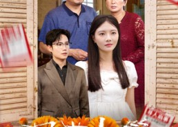 【凤燕归巢】60集免费短剧全集赏看