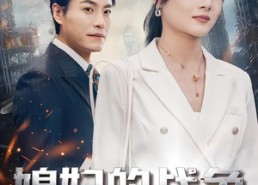 【媳妇的战争】37集高清短剧在线免费看