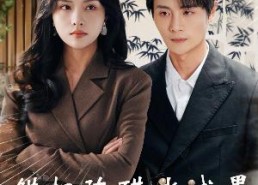 【把爱留在昨天】29集短剧免费在线全集览