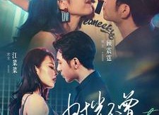 【时光不曾遗忘你】100集短剧免费在线完整观