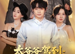 【太爷爷驾到：败家就有惊喜】80集短剧免费全集畅享