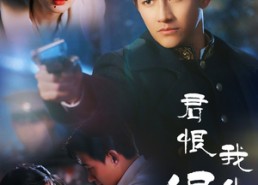 【君恨我生迟】60集短剧完整版免费观看