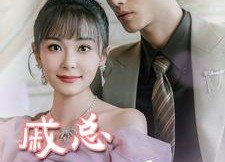 【戚总还是太全面了】57集短剧免费在线随心看