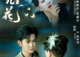 【砚上几生花】62集短剧免费完整版观看