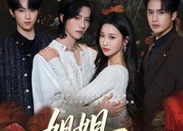 【姐姐在上】65集短剧全集在线免费赏