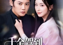 【千金驾到，一个打俩】70集短剧全集免费畅看