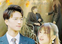 【落花时节再逢君】82集短剧免费全集任意看