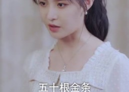 【少帅与我有情缘】106集完整短剧免费在线观赏