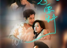 【心要野】62集短剧免费全集在线赏鉴