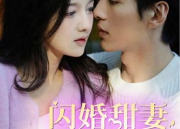 【闪婚甜妻美又飒】97集短剧免费完整观看