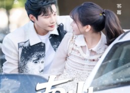 【南山可采莓】66集短剧完整版免费观看