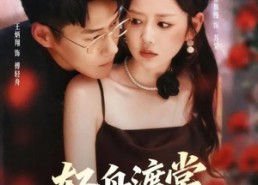 【轻舟渡棠】80集短剧在线免费极速看