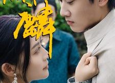 【麒麟】91集免费短剧全集在线观赏