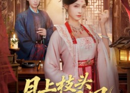 【月上枝头做凤凰】80集全集短剧免费赏看