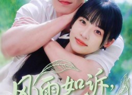 【风雨如诉凉薄如你】70集短剧免费完整版欣赏