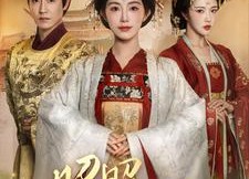 【昭昭芳华】81集短剧免费全集直看