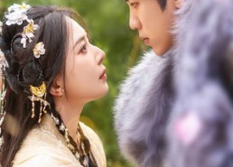 【犹为离人照落花】60集短剧完整版在线观