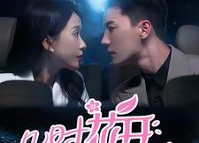 【几时花开几时落】66集高清短剧在线免费看