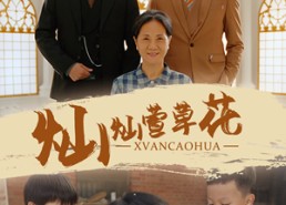 【灿灿萱草花】72集短剧在线畅快观看