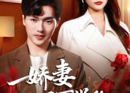 【娇妻不可说的秘密】47集优质短剧免费览看