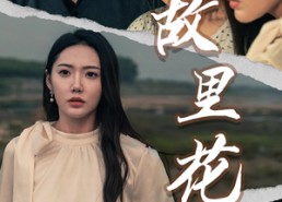 【故里花开】43集免费短剧全集随时看