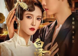 【白泽酒馆】30集短剧免费全集随心看
