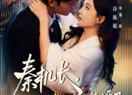 【秦机长，太太是真的想离婚了】74集短剧全集在线免费赏