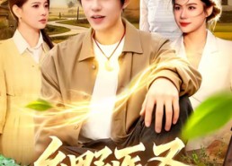 【乡野医圣】95集高清短剧在线免费观看