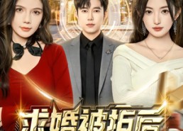 【求婚被拒后，我手握系统娶真爱】81集短剧全集在线免费观看