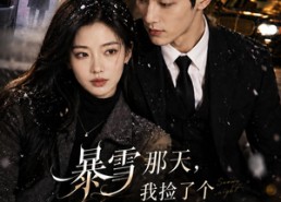 【暴雪那天，我捡了个老公】58集短剧全集在线速看