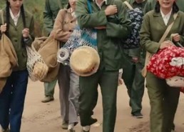 【年代下乡我有天道酬勤】83集免费短剧资源在线观