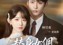 【替身女佣是千金】58集免费短剧随心观看