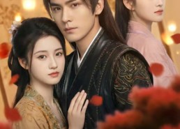 【岁拾芳录】80集热门短剧免费在线追看