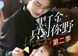 【黑千金只对你野第二季】75集短剧免费全集赏映