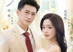 【秦爷，领个证先】73集免费短剧在线看完整版