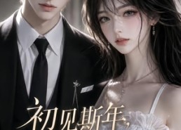 【初见斯年，风月皆沅第二季】54集短剧免费高清在线看