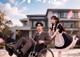 【怪力少女不好惹】87集热门短剧免费在线赏看
