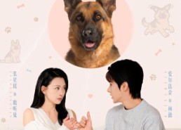 【穿越汪星来爱你】62集短剧全集免费在线观看