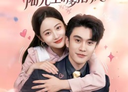 【婚后高甜：陆先生请多指教】60集全集短剧免费在线看